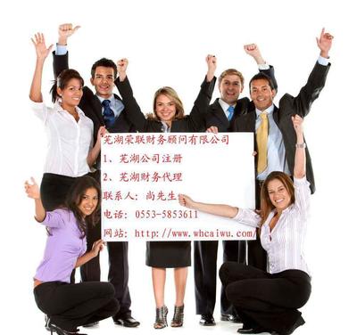 蕪湖企業(yè)財稅服務(wù)指南 代理記賬與財務(wù)代理詳解