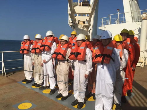 陽海國際船舶公司誠聘招生代理，共拓國際船舶管理業務新篇章