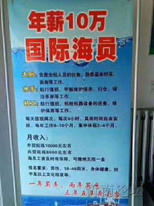 青島州海國際船舶管理 深耕國際船舶管理業務，賦能全球航運